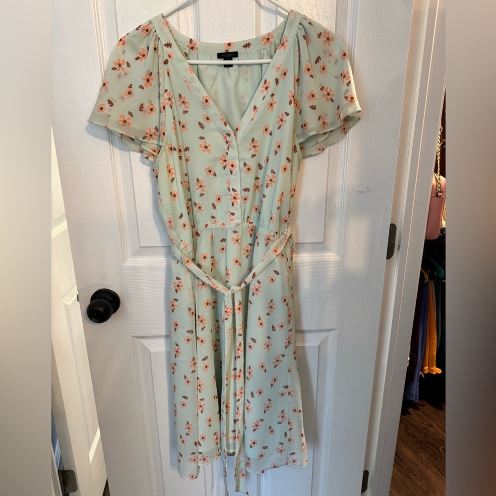 Ann Taylor women’s dress size medium
